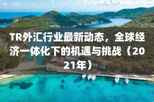 TR外匯行業(yè)最新動(dòng)態(tài)，全球經(jīng)濟(jì)一體化下的機(jī)遇與挑戰(zhàn)（2021年）