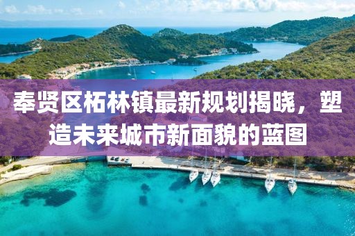 奉賢區(qū)柘林鎮(zhèn)最新規(guī)劃揭曉，塑造未來城市新面貌的藍(lán)圖