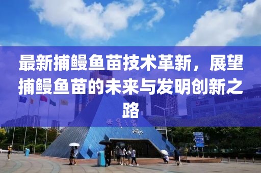 最新捕鰻魚(yú)苗技術(shù)革新，展望捕鰻魚(yú)苗的未來(lái)與發(fā)明創(chuàng)新之路