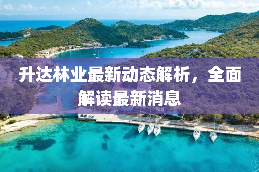 升達(dá)林業(yè)最新動態(tài)解析，全面解讀最新消息