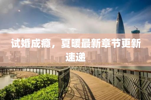 試婚成癮，夏暖最新章節(jié)更新速遞