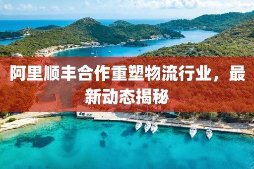 阿里順豐合作重塑物流行業(yè)，最新動態(tài)揭秘