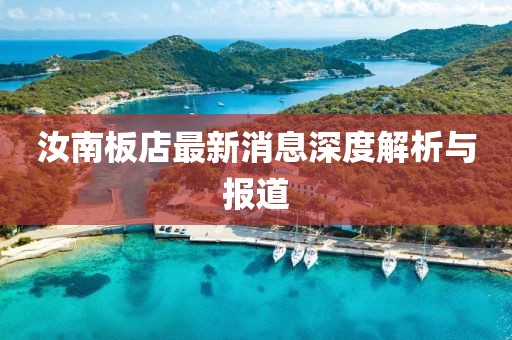 汝南板店最新消息深度解析與報道