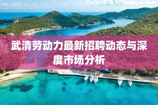 武清勞動(dòng)力最新招聘動(dòng)態(tài)與深度市場(chǎng)分析