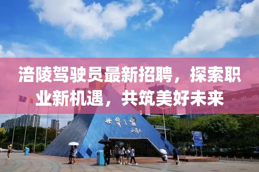 涪陵駕駛員最新招聘，探索職業(yè)新機(jī)遇，共筑美好未來