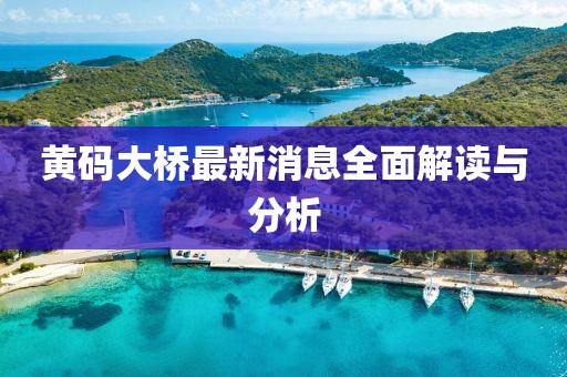 黃碼大橋最新消息全面解讀與分析