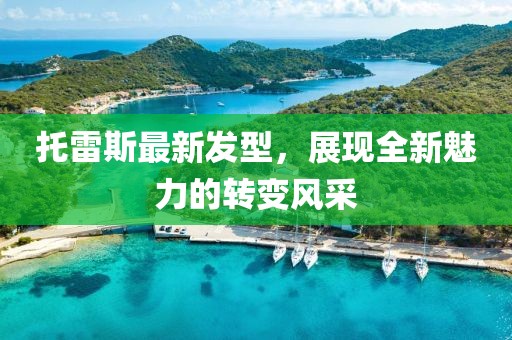 托雷斯最新發(fā)型，展現全新魅力的轉變風采