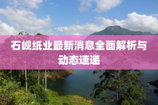 石峴紙業(yè)最新消息全面解析與動態(tài)速遞