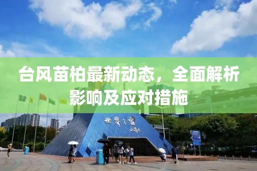 臺風(fēng)苗柏最新動態(tài)，全面解析影響及應(yīng)對措施