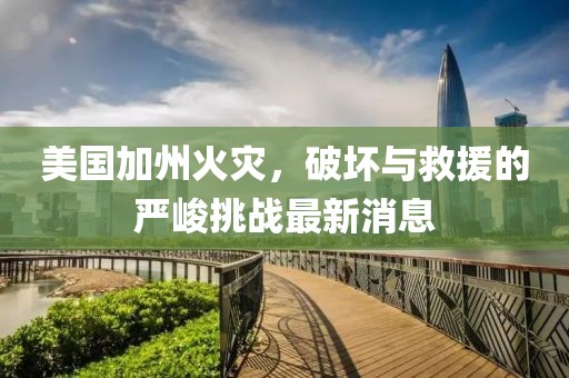 美國加州火災(zāi)，破壞與救援的嚴(yán)峻挑戰(zhàn)最新消息