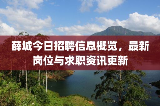 薛城今日招聘信息概覽，最新崗位與求職資訊更新