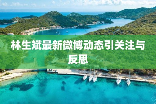 林生斌最新微博動態(tài)引關注與反思