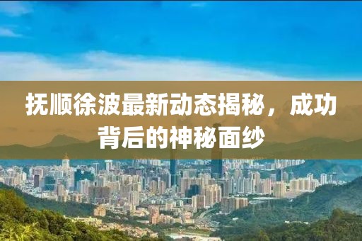 撫順徐波最新動態(tài)揭秘，成功背后的神秘面紗