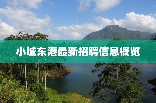 小城東港最新招聘信息概覽