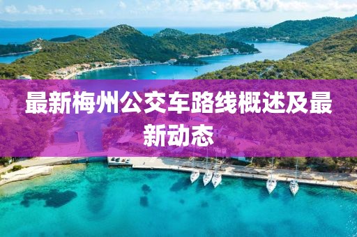 最新梅州公交車路線概述及最新動(dòng)態(tài)