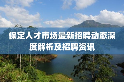 保定人才市場最新招聘動態(tài)深度解析及招聘資訊