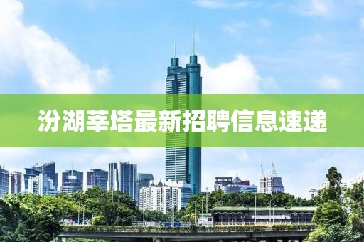 汾湖莘塔最新招聘信息速遞