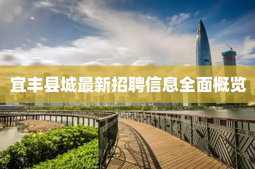 宜豐縣城最新招聘信息全面概覽