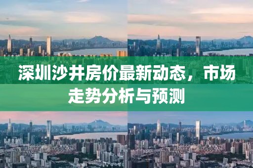 深圳沙井房價最新動態(tài)，市場走勢分析與預測