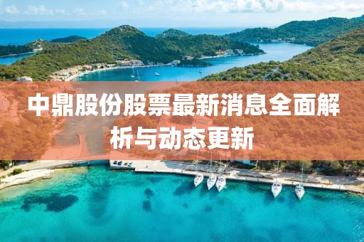 中鼎股份股票最新消息全面解析與動態(tài)更新