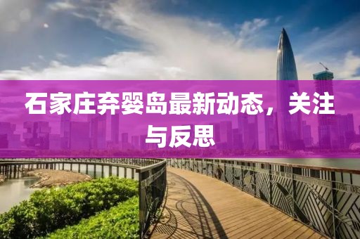 石家莊棄嬰島最新動態(tài)，關(guān)注與反思