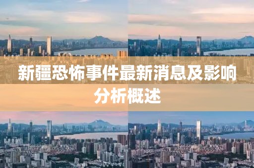新疆恐怖事件最新消息及影響分析概述