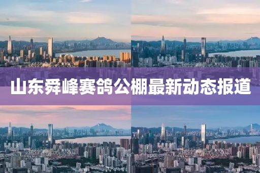 山東舜峰賽鴿公棚最新動(dòng)態(tài)報(bào)道