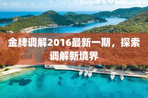 金牌調(diào)解2016最新一期，探索調(diào)解新境界