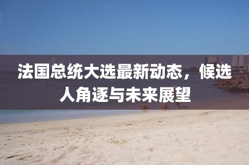 法國(guó)總統(tǒng)大選最新動(dòng)態(tài)，候選人角逐與未來(lái)展望