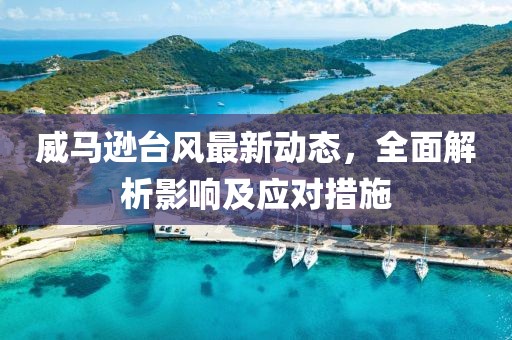 威馬遜臺(tái)風(fēng)最新動(dòng)態(tài)，全面解析影響及應(yīng)對(duì)措施