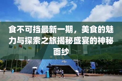 食不可擋最新一期，美食的魅力與探索之旅揭秘盛宴的神秘面紗