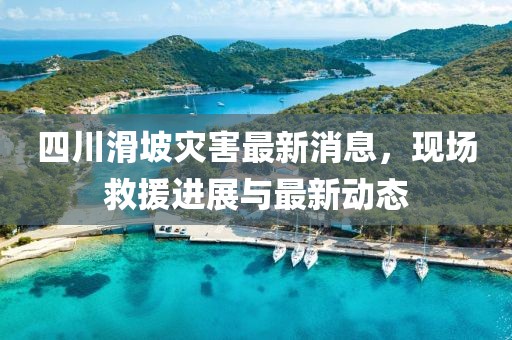四川滑坡災(zāi)害最新消息，現(xiàn)場(chǎng)救援進(jìn)展與最新動(dòng)態(tài)