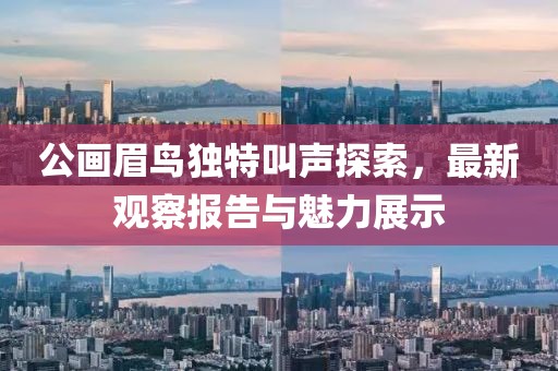公畫(huà)眉鳥(niǎo)獨(dú)特叫聲探索，最新觀察報(bào)告與魅力展示
