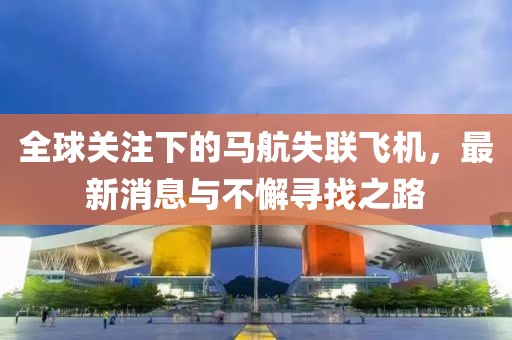 全球關注下的馬航失聯(lián)飛機，最新消息與不懈尋找之路
