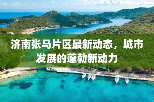 濟南張馬片區(qū)最新動態(tài)，城市發(fā)展的蓬勃新動力