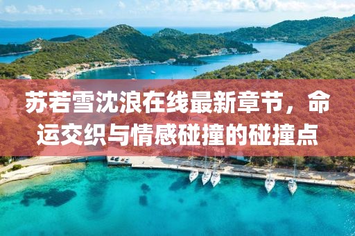 蘇若雪沈浪在線最新章節(jié)，命運(yùn)交織與情感碰撞的碰撞點(diǎn)