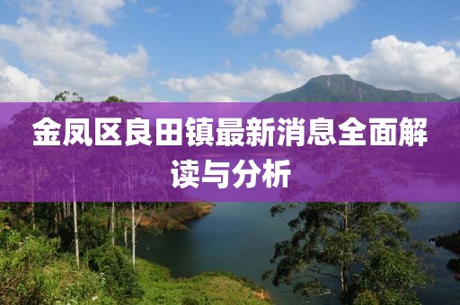 金鳳區(qū)良田鎮(zhèn)最新消息全面解讀與分析