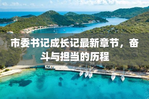 市委書(shū)記成長(zhǎng)記最新章節(jié)，奮斗與擔(dān)當(dāng)?shù)臍v程