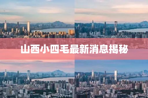 山西小四毛最新消息揭秘