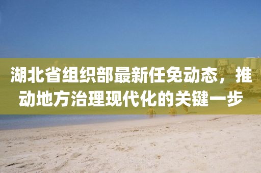 湖北省組織部最新任免動態(tài)，推動地方治理現(xiàn)代化的關(guān)鍵一步