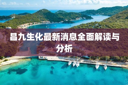 昌九生化最新消息全面解讀與分析