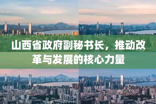 山西省政府副秘書(shū)長(zhǎng)，推動(dòng)改革與發(fā)展的核心力量
