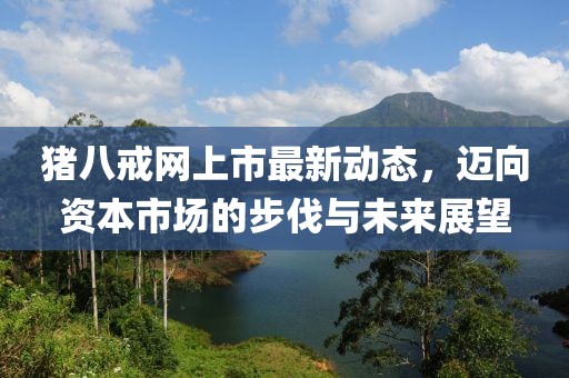 豬八戒網(wǎng)上市最新動態(tài)，邁向資本市場的步伐與未來展望
