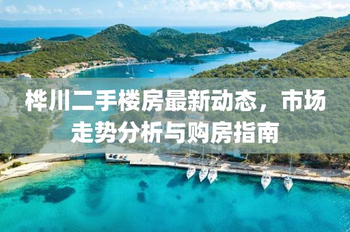 樺川二手樓房最新動態(tài)，市場走勢分析與購房指南