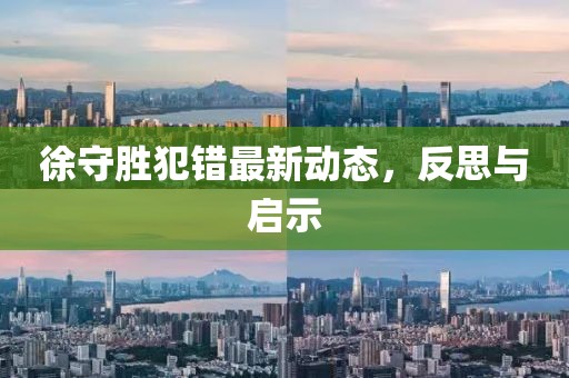 徐守勝犯錯最新動態(tài)，反思與啟示
