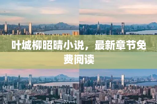 葉城柳昭晴小說(shuō)，最新章節(jié)免費(fèi)閱讀