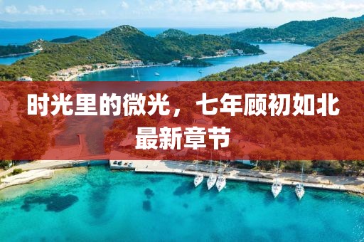 時(shí)光里的微光，七年顧初如北最新章節(jié)
