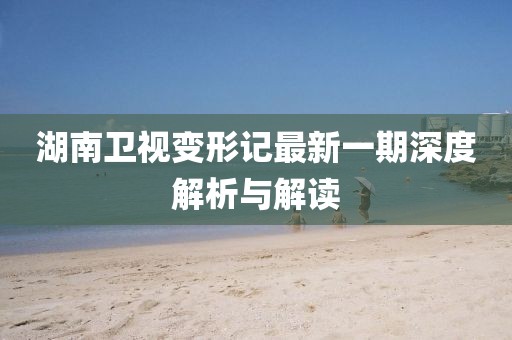 湖南衛(wèi)視變形記最新一期深度解析與解讀