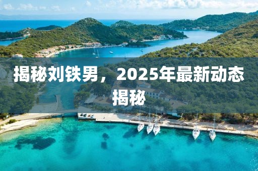 揭秘劉鐵男，2025年最新動態(tài)揭秘