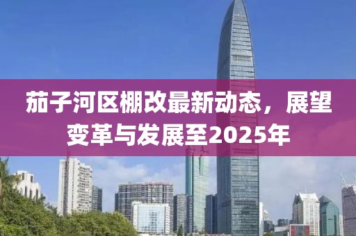 茄子河區(qū)棚改最新動(dòng)態(tài)，展望變革與發(fā)展至2025年